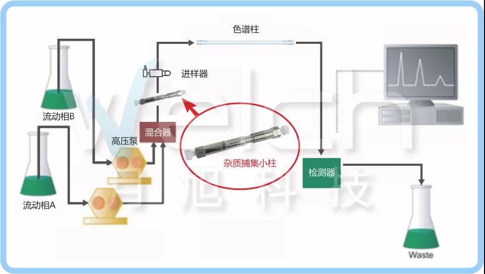 1565914994523240.jpg 1565914994523240.jpg