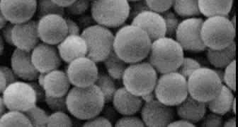 1578392270477297.jpg 微信圖片_20200107175932.jpg