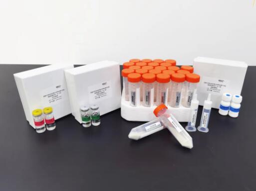 1637137671424422.jpg 11.jpg