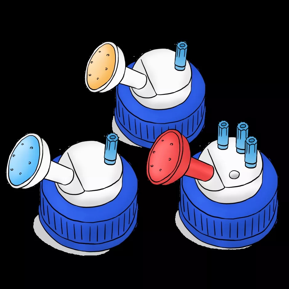 1639621985122993.jpg 4.webp.jpg