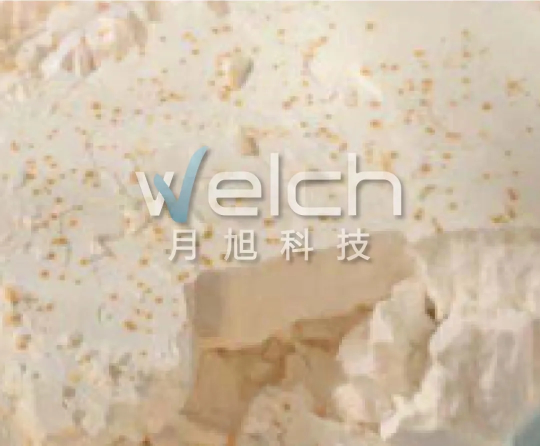 1640680912186714.jpg 5.webp.jpg