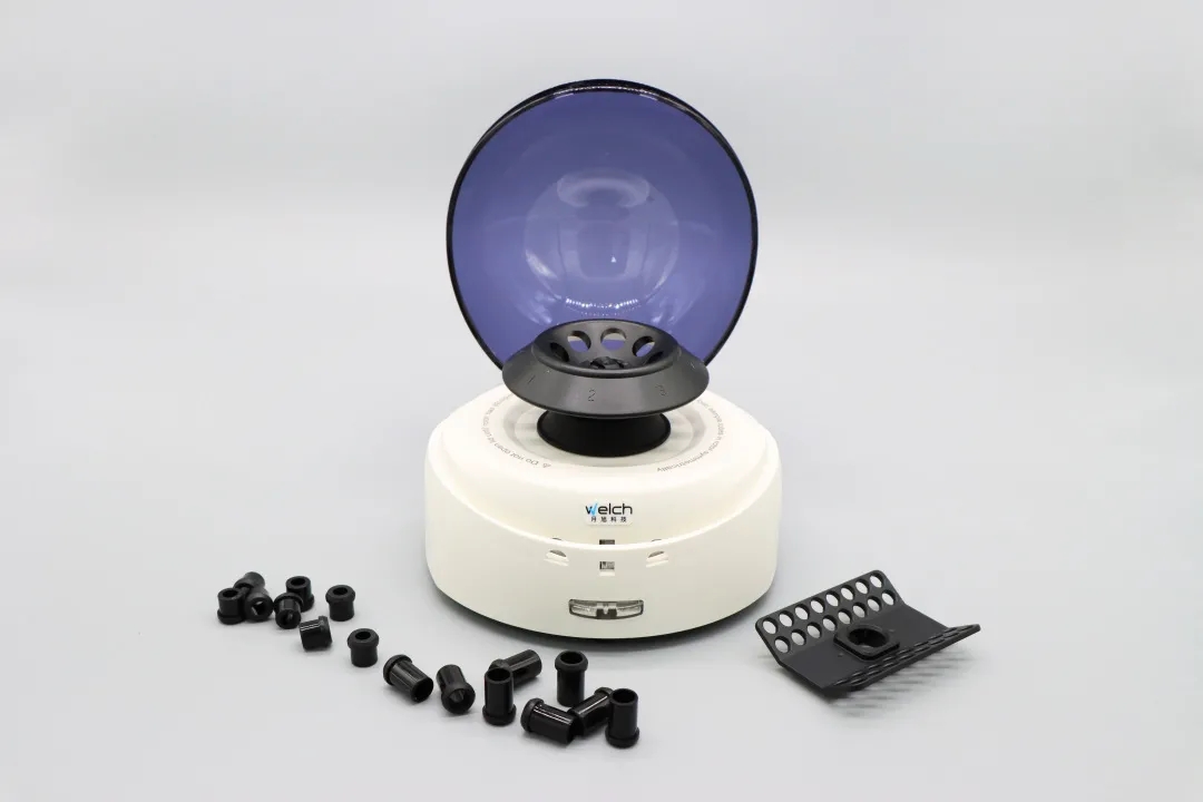 1640681628254317.jpg 1.webp.jpg