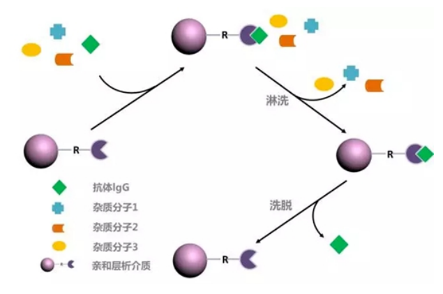 1656055426318564.png 微信截圖_20220624151748.png